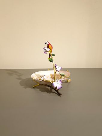 صدف طوطی برنجی | مدل 6