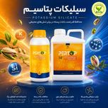 کود مایع سیلیکات پتاسیم پرگاس شیمی ( 1 / 5 لیتری)