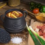 ظرف پخت دیزی چدن نالینو مدل Family Plus