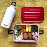 ظرف سفری سیگ مدل Metal Box Plus L کد F2022