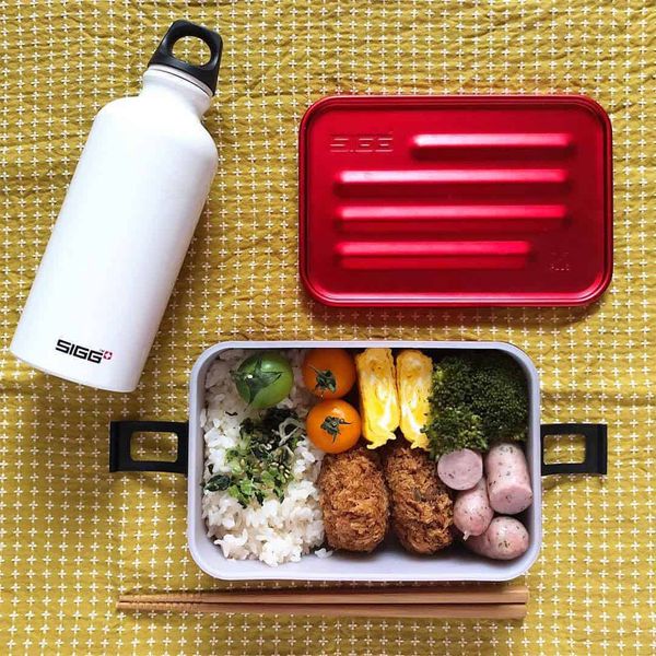 ظرف سفری سیگ مدل Metal Box Plus L کد F2022