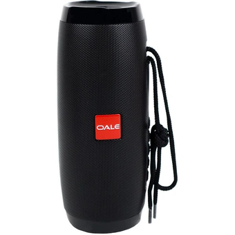اسپیکر بلوتوثی قابل حمل OALE مدل iBazz 40