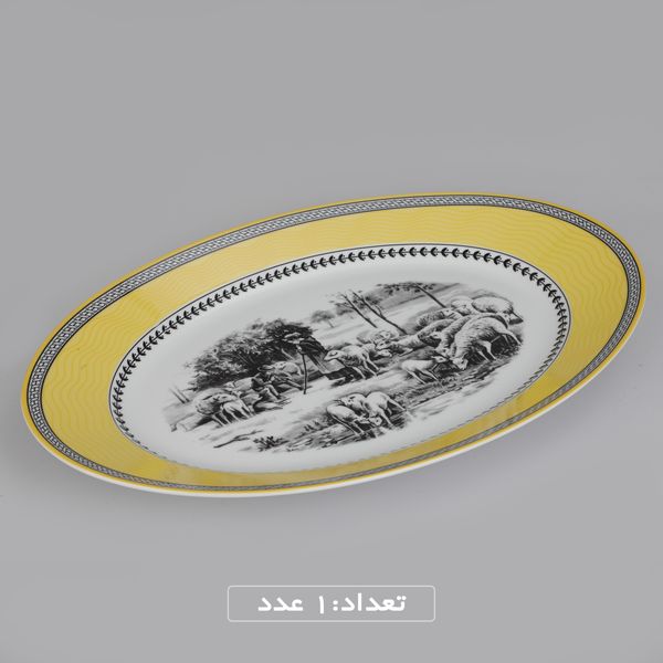 سرویس چینی 102 پارچه غذا خوری چینی زرین ایران سری ایتالیا اف مدل ویلیج درجه یک