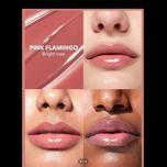 بالم لب حجم دهنده (لیپ پلامپر) شیگلم POUT-PERFECT SHINE LIP PLUMPER
