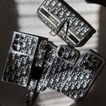 قاب دیور Dior AG (silver)
