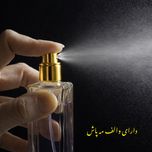 ادو پرفیوم مردانه لورکس مدل ساواج با رایحه خنک حجم 50 میلی لیتر