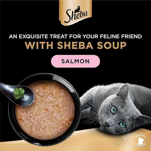 سوپ گربه شبا با طعم سالمون /  Sheba Classics Soup Adult Wet Cat Food with salmon flavor
