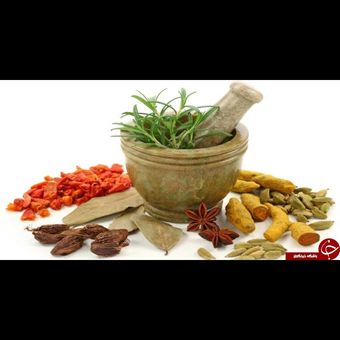 کپسول گیاهی مکسی(اشتهاآور)