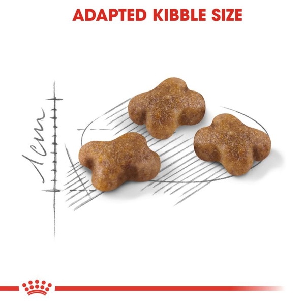 غذای خشک بچه گربه رویال کنین / Royal canin Kitten dry food
