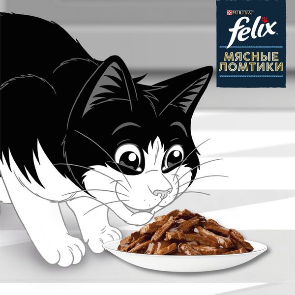 پوچ گربه ی بالغ فلیکس با طعم گوشت گاو اسموکی در سس / Felix pouch wet cat food with smokey beef in sauce