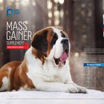 مکمل عضله‌ساز سگ بایو پت مدل Mass Gainer وزن 400 گرم