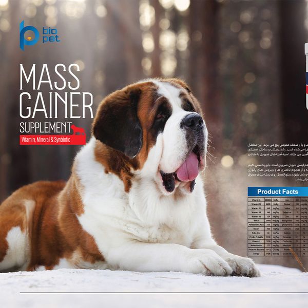 مکمل عضله‌ساز سگ بایو پت مدل Mass Gainer وزن 400 گرم