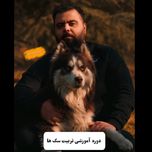 آموزش و تربیت سگ ها