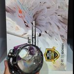 لنز دو چشم جغدی STCO