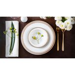 سرویس غذاخوری 102 پارچه 12 نفر چینی زرین ایران مدل ایتالیا اف ریوا درجه عالی