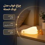 چراغ خواب مدل اردک