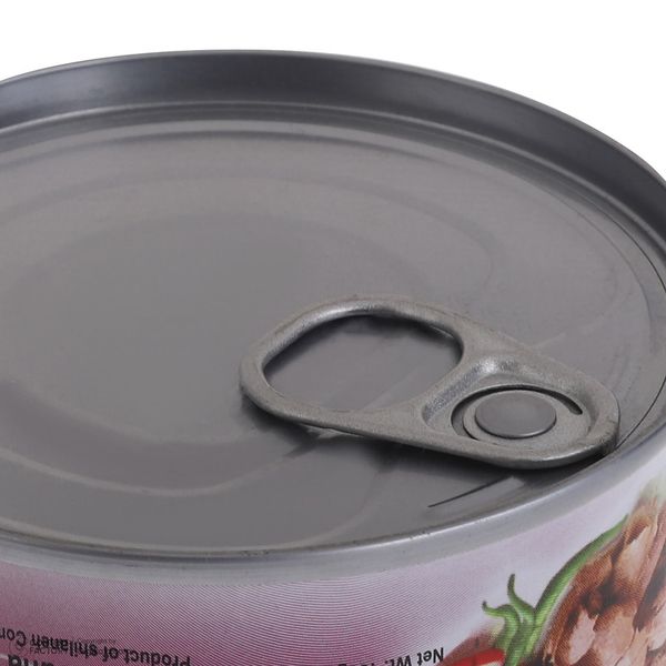 کنسرو ماهی تون در روغن آفتاب گردان شیلانه - 180 گرم 24 عددی