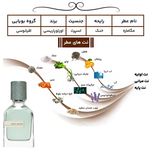 ادو پرفیوم مردانه هارلینگن مدل مگاماره اورتو پاریسی با رایجه معتدل حجم 50 میلی لیتر