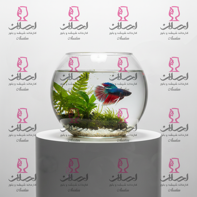 تنه 1
