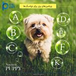 مکمل توله سگ بایو پت مدل Puppy وزن 400 گرم