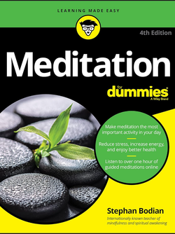 کتاب آموزش مدیتیشن برای آدمیزاد Meditation for Dummies
