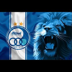 بلیت دربی استقلال - پرسپولیس ( جایگاه استقلال آقایان )