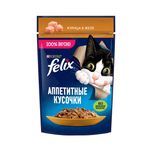 پوچ گربه ی بالغ فلیکس با طعم مرغ در ژله/ Felix pouch wet cat food with chicken in jelly