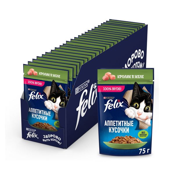 پوچ گربه فلیکس با طعم خرگوش در ژله /Felix pouch wet cat food with rabbit in jelly