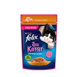 پوچ بچه گربه‌ی فلیکس با طعم مرغ در ژله / Felix cat pouch with chicken flavor in jelly