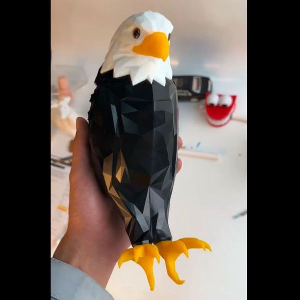 چراغ خواب دیواری سه‌بعدی طرح عقاب 💡🦅
