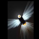 چراغ خواب دیواری سه‌بعدی طرح عقاب 💡🦅