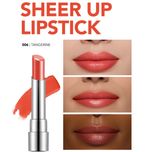 رژلب جامد شیر آپ فلورمار SHEER UP کد 006