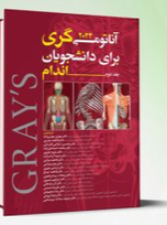 آناتومی گری جلد 2 اندام