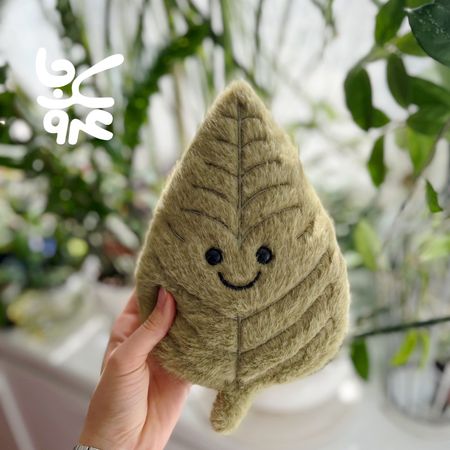 برگ پاییزی سبز