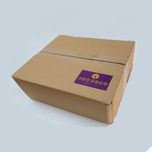 چراغ دیواری نئو دکو مدل کاکتوس*93