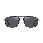 عینک آفتابی خلبانی (Aviator) آلبرت وگ مدل 6313C04-P101 Polarized Avantgarde Visionary