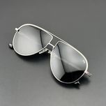 عینک آفتابی مردانه آلبرت وگ مدل JS8540C05-P142 Avantgarde Visionary