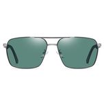 عینک آفتابی مردانه آلبرت وگ مدل 6307C98-P131 Polarized Avantgarde Visionary