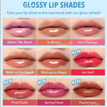 بالم لب حجم دهنده (لیپ پلامپر) شیگلم POUT-PERFECT SHINE LIP PLUMPER