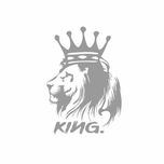 برچسب بدنه خودرو رادیانس طرح Kiing کد B16