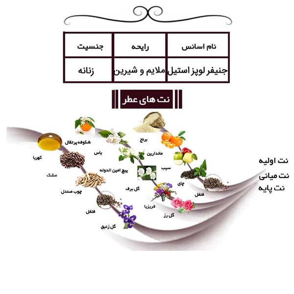 ادوپرفیوم زنانه ایفوریا مدل استیل جنیفر لوپز با رایحه گرم حجم 100 میلیلیتر