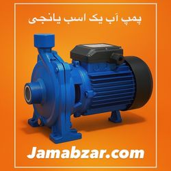 پمپ آب یک اسب یانجی