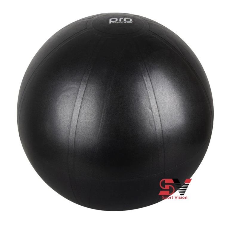 جیم بال 75cm سوئیسی پرو اسپورتز NEW