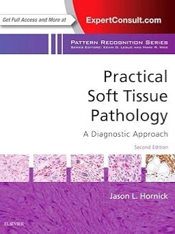 Practical Soft Tissue Pathology: A Diagnostic Approach: A Volume in the Pattern Recognition Series 2nd Edition