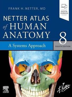 Netter Atlas Human Anatomy: A systems Approch 2 Vol 2023