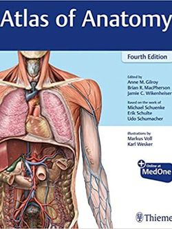 Atlas of Anatomy Gilroy 4e Edition 2020