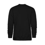 پلیور یقه گرد مردانه مدل SB-SS-0411762