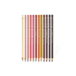 مداد رنگی 12 رنگ فابرکاستل مدل پلی کروم طیف پوستی