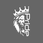 برچسب بدنه خودرو شیپرس کد Sp002S