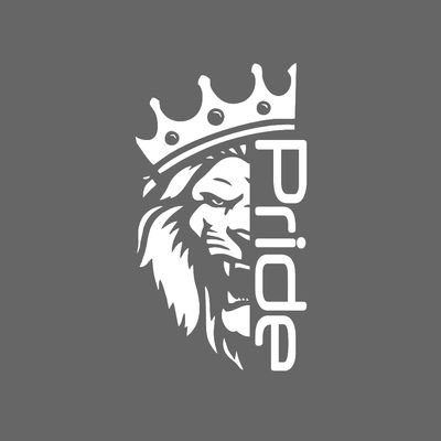 برچسب بدنه خودرو شیپرس کد Sp002S